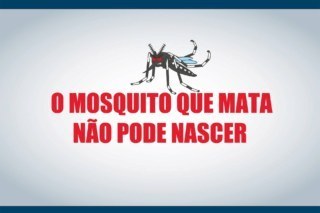 Imagem do mosquito aedes aegypti e a frase: o mosquito que mata não pode nascer.
