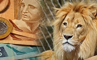 Moeda de um real sobre cédulas de dinheiro. No lado direito da imagem aparece a cabeça de um leão.