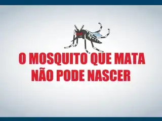 Imagem do mosquito aedes aegypti e a frase: o mosquito que mata não pode nascer.