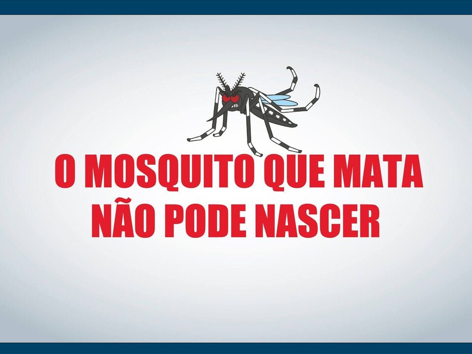 O mosquito que mata não pode nascer