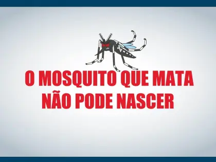 O mosquito que mata não pode nascer