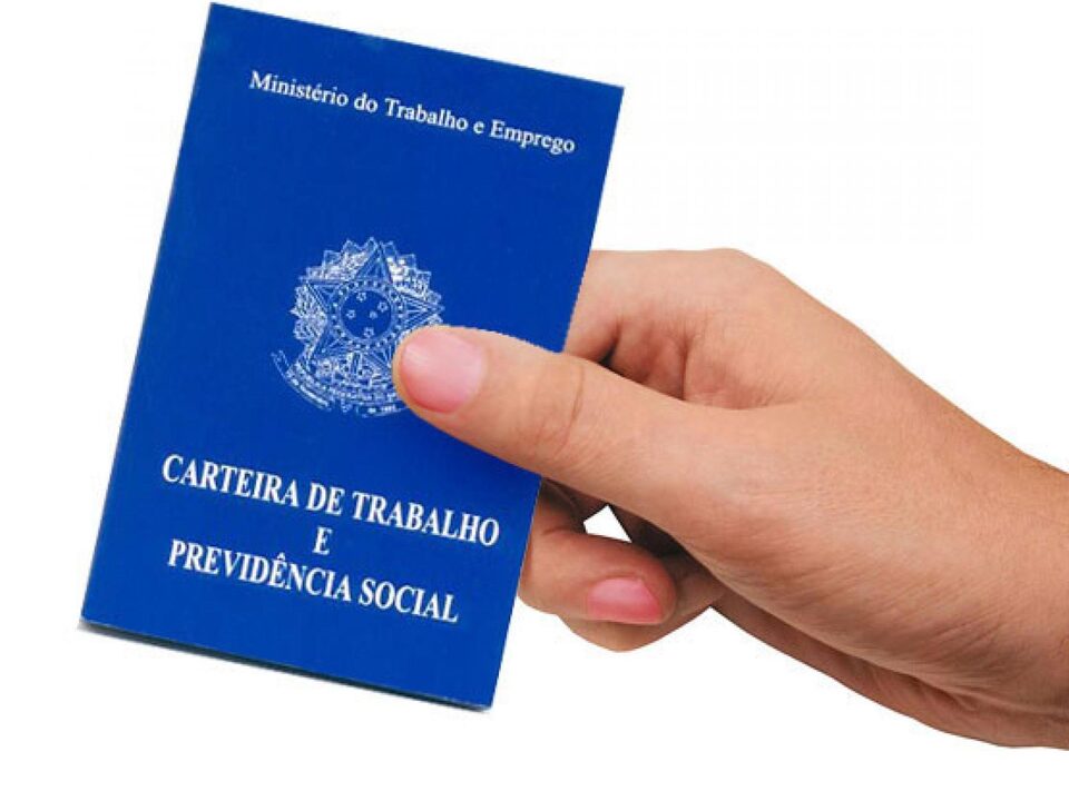 Mão segurando carteira de trabalho. Fundo branco
